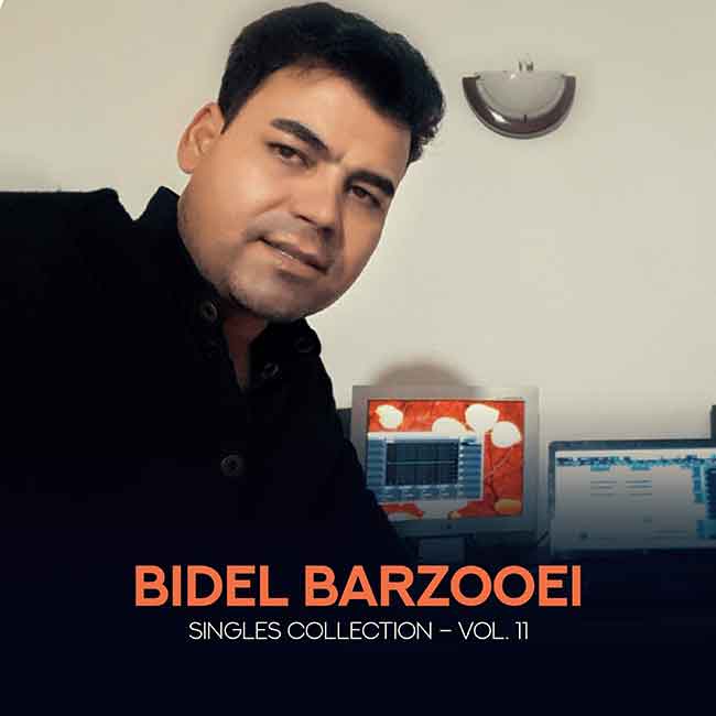 Album: Singles Collection - Vol. 11