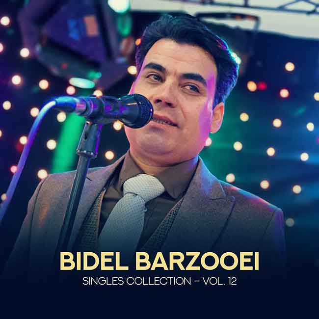 Album: Singles Collection - Vol. 12