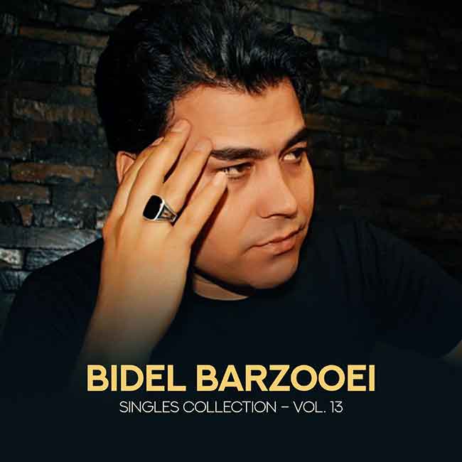 Album: Singles Collection - Vol. 13