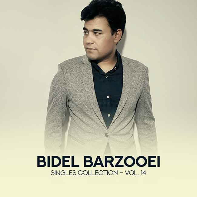 Album: Singles Collection - Vol. 14