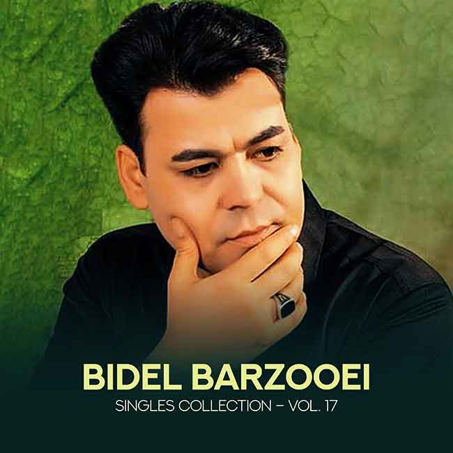Album: Singles Collection - Vol. 17