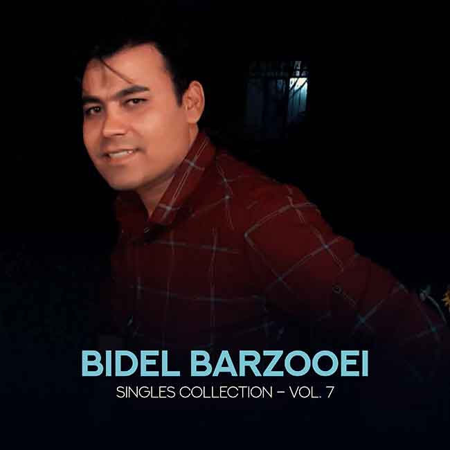 Album: Singles Collection - Vol. 7